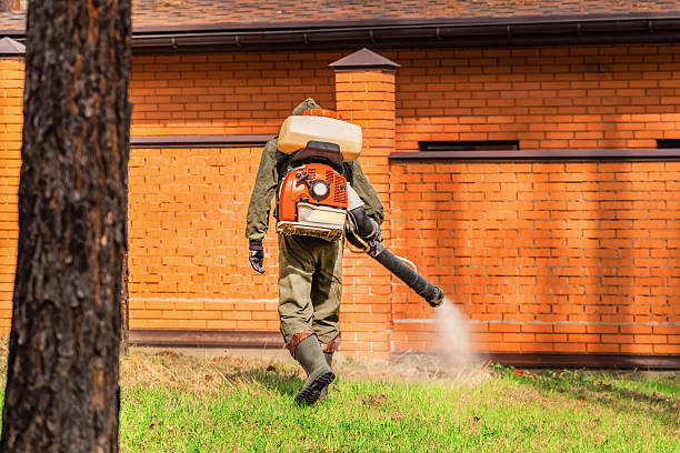 Trusted Rodent Control service in Alafaya, FL - Nex Pest Control